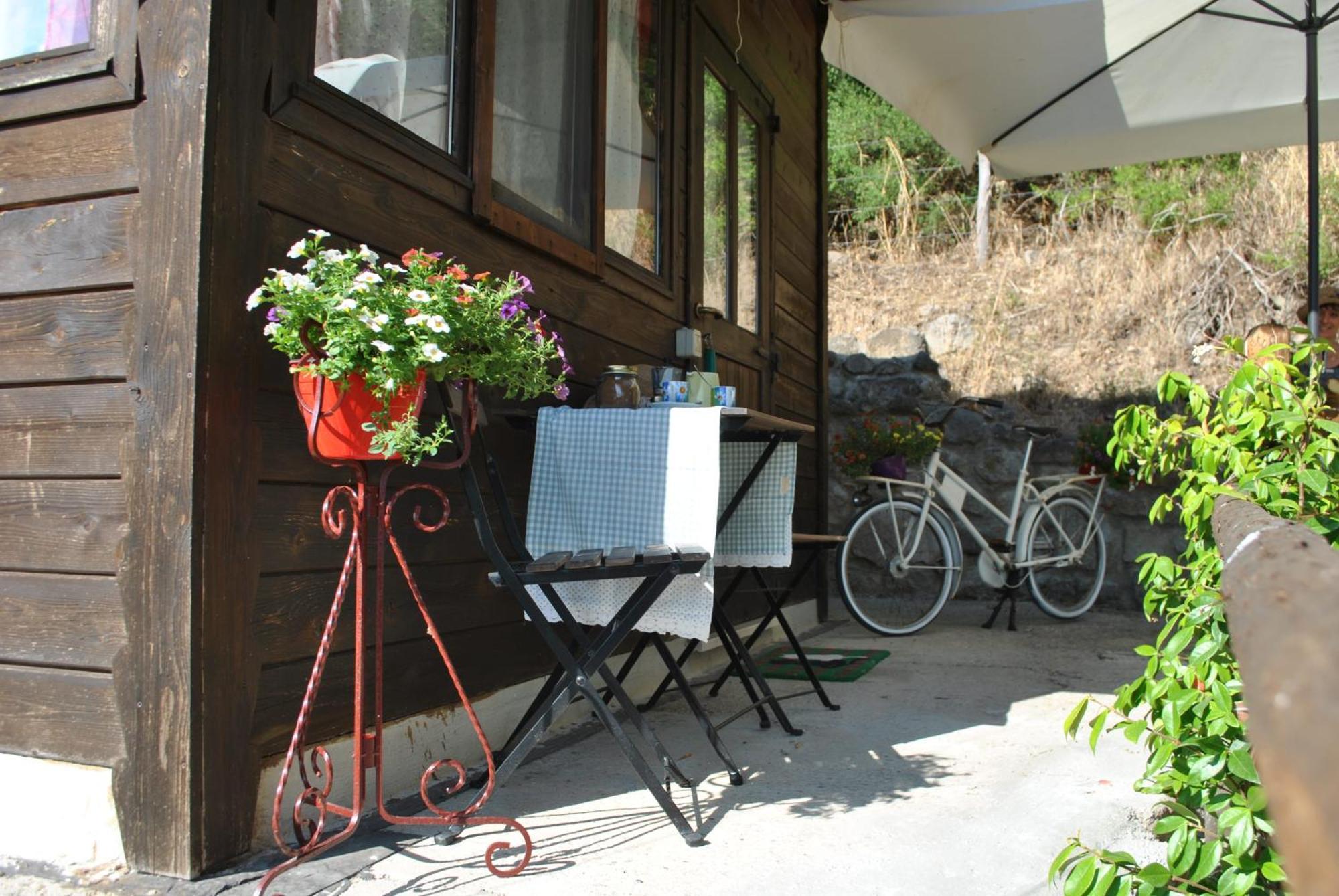 Azienda Agricola Biologica La Cardellina Tolfa ภายนอก รูปภาพ