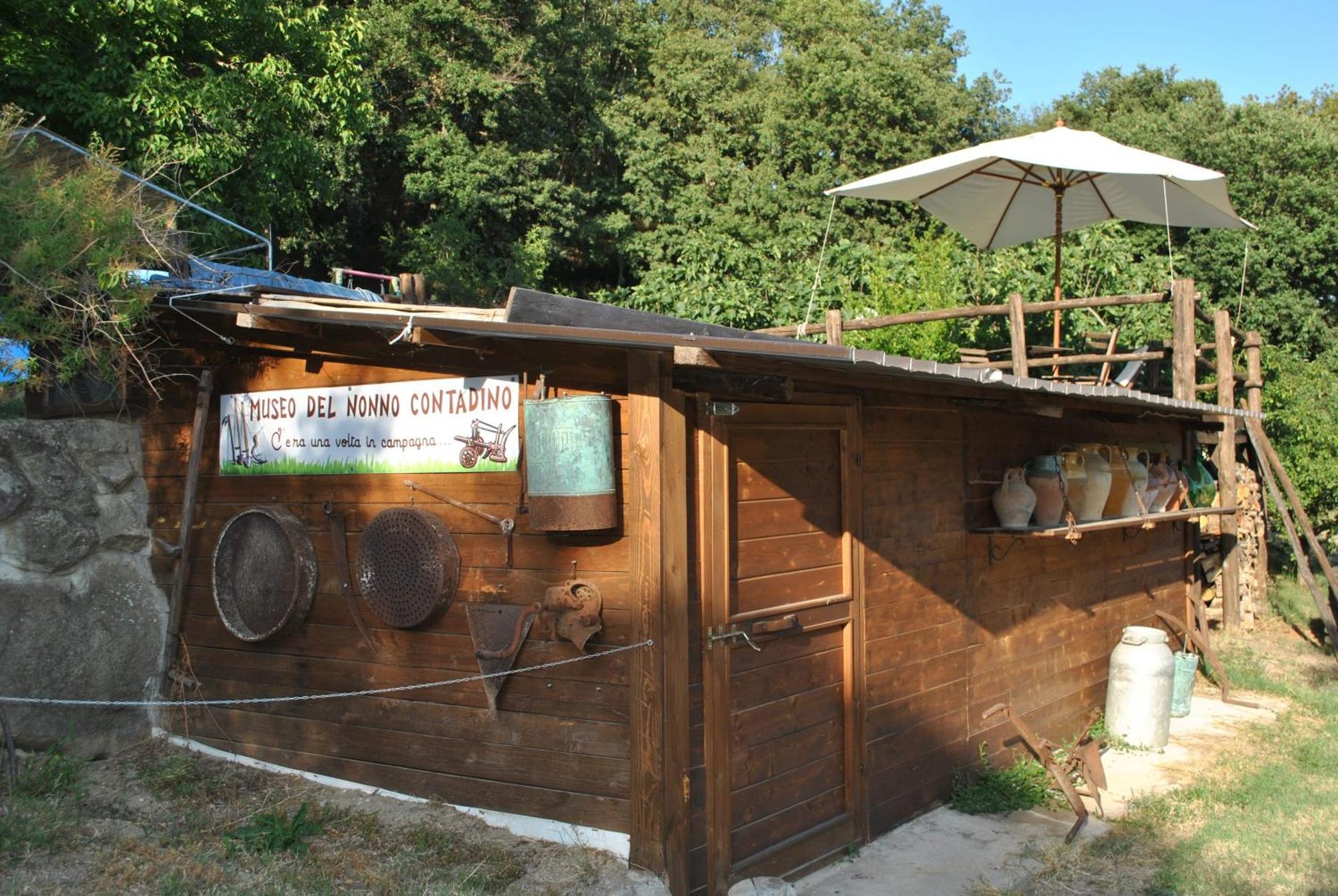 Azienda Agricola Biologica La Cardellina Tolfa ภายนอก รูปภาพ