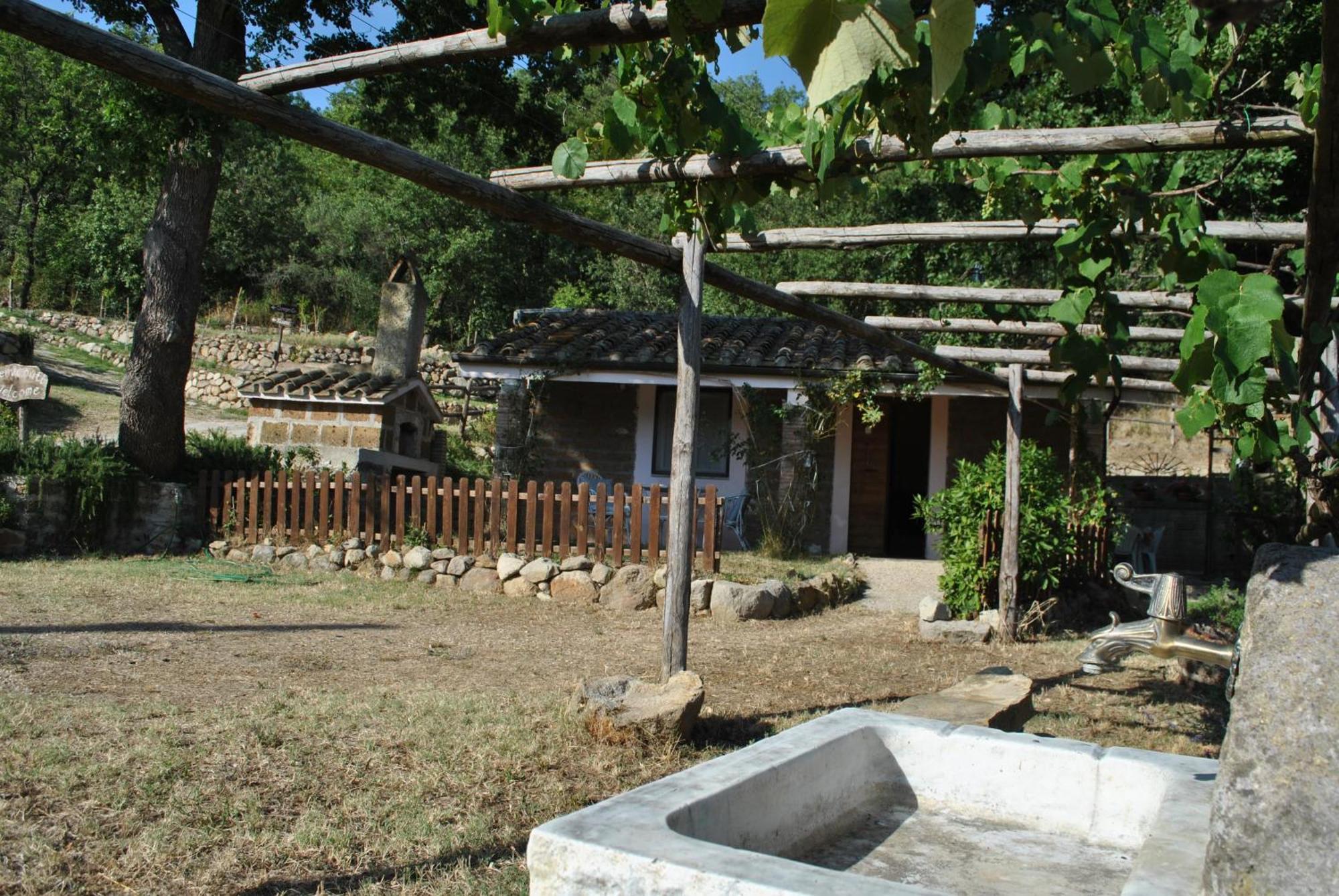 Azienda Agricola Biologica La Cardellina Tolfa ภายนอก รูปภาพ